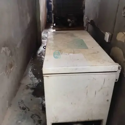 Freezer 