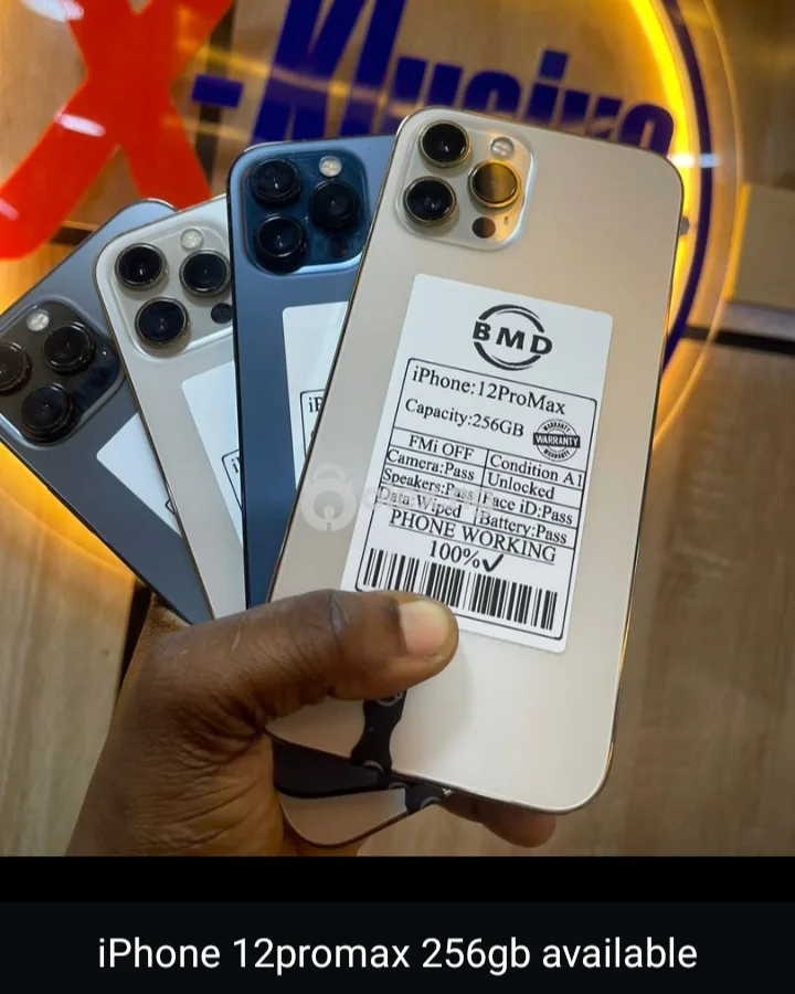 12 pro max 128gb