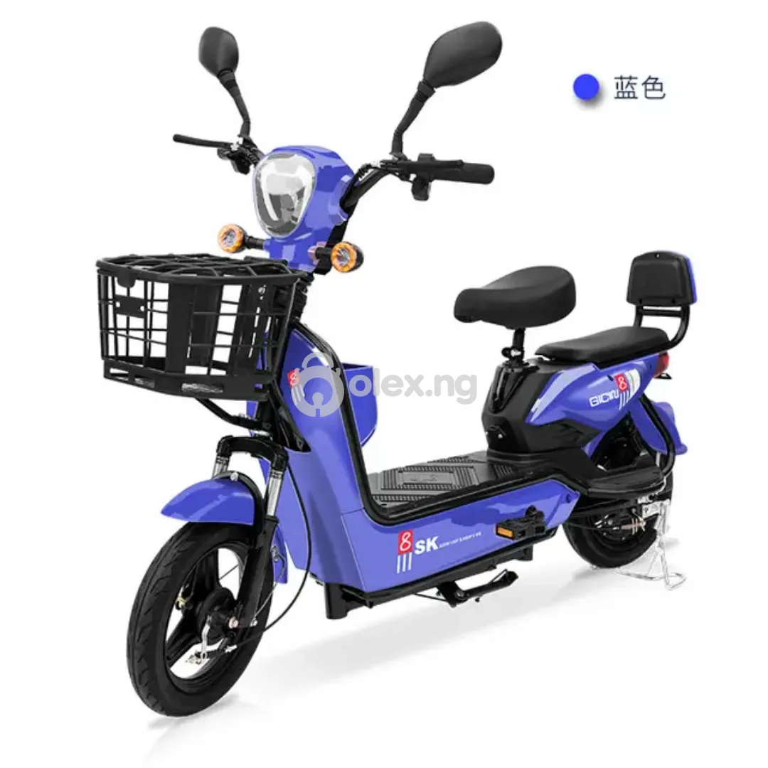 48V High Standard PowerCity Children & Adult Electric Bike - Blue