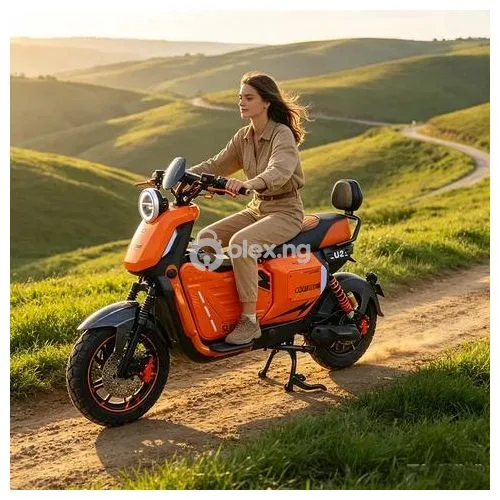 U2 48V High Standard Powercity Adult Electric Bike — Crisp Display