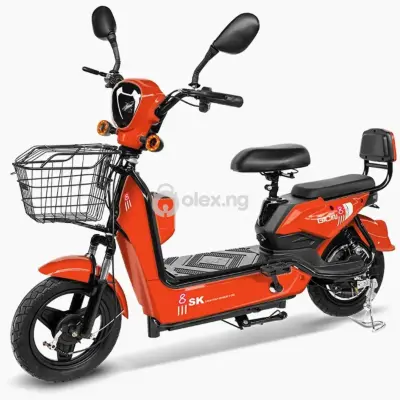 48V High Standard PowerCity Children & Adult Electric Bike