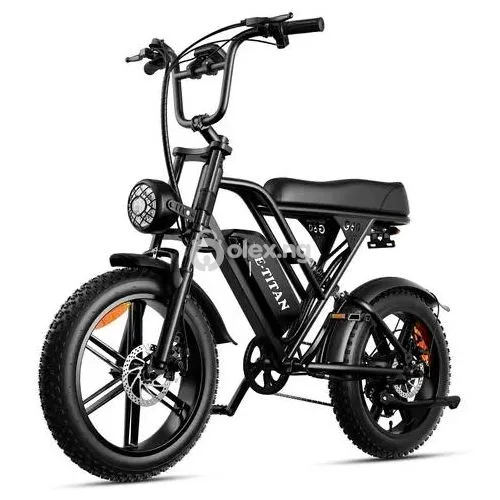 G60 48V High Standard PowerCity Adult Electric Bike