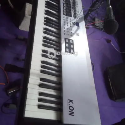 ESI K.ON Expendable Controller Stage or Studio Piano. 7 Octive , 88 Wetted Keys 