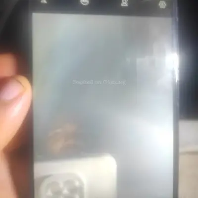 Vivo v15