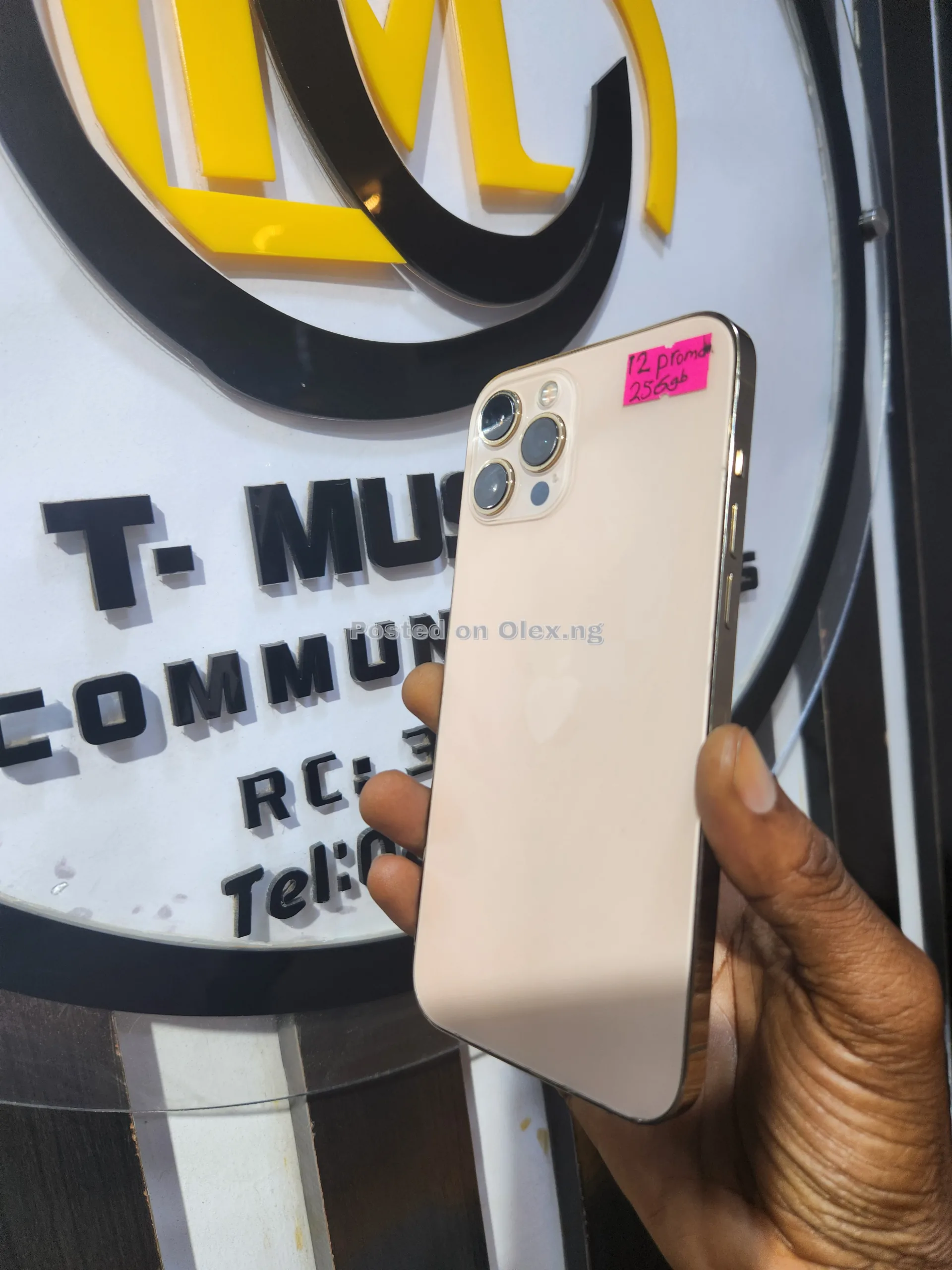 12 promax 256gb