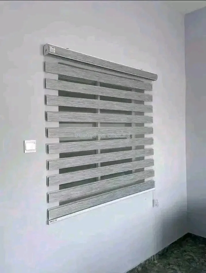 Window Blinds 