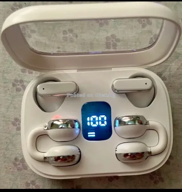 TWIN Earbuds (2 in 1)