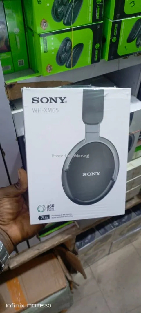 Earphones 