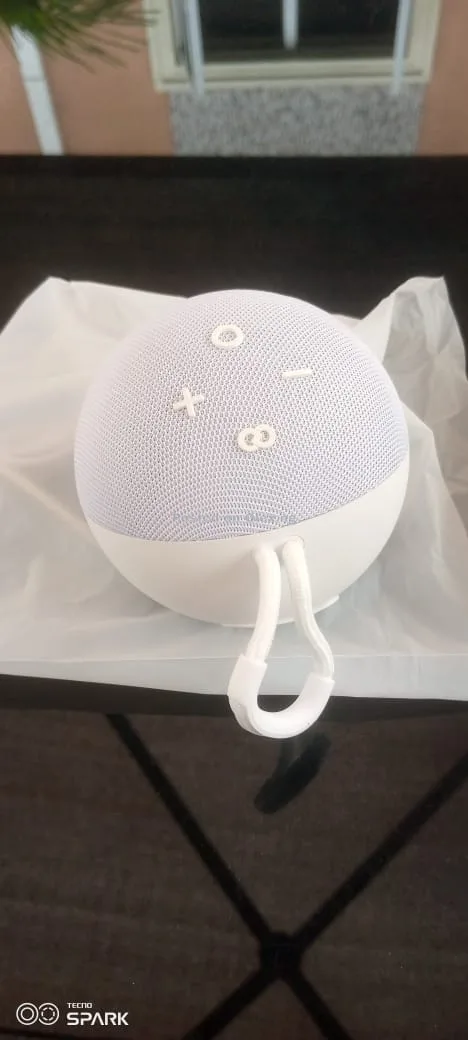 Speaker 