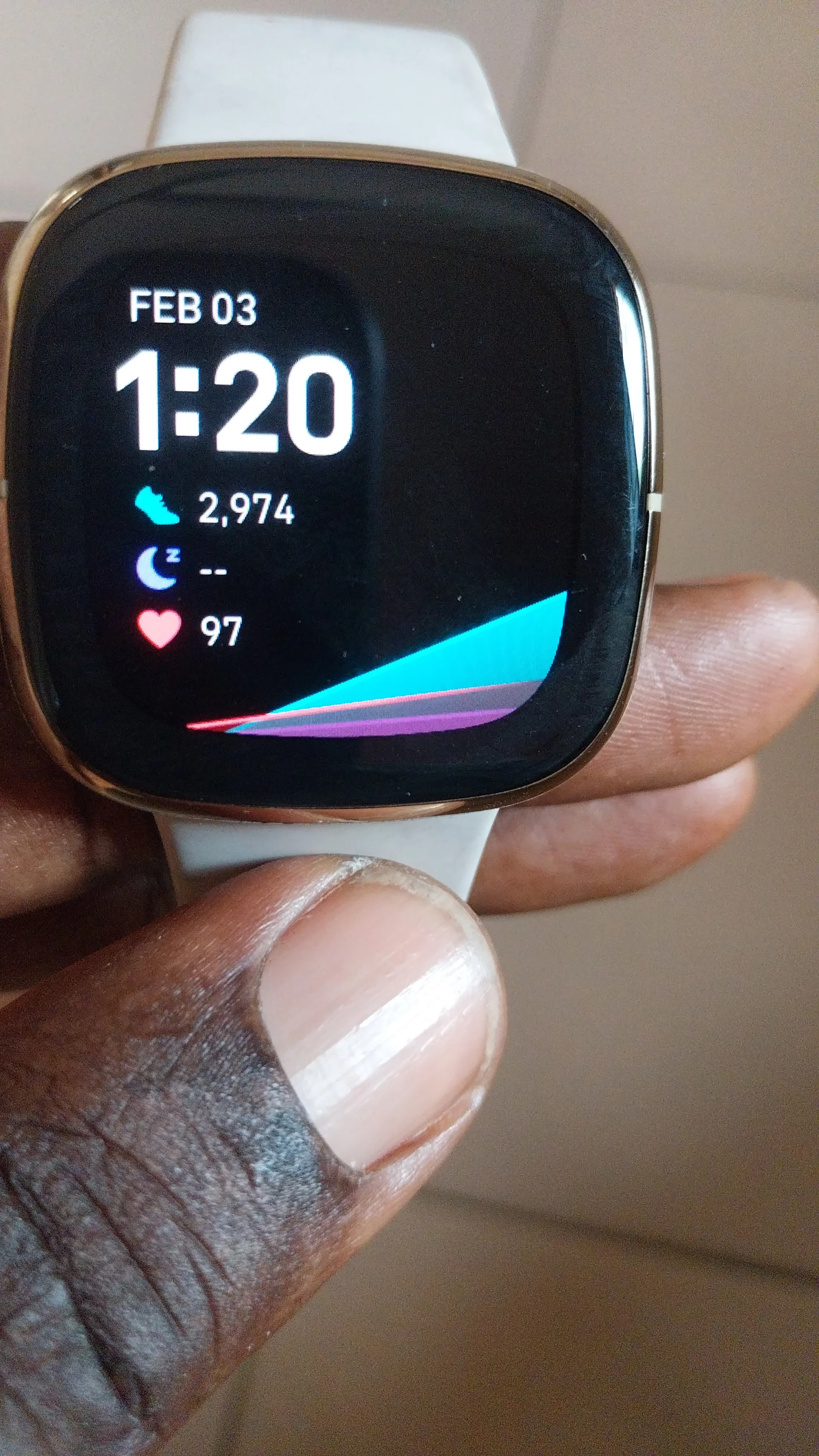 Used Fitbit Sense