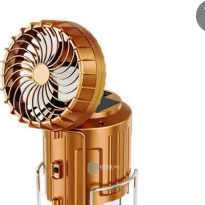 Halogen light plus fan
